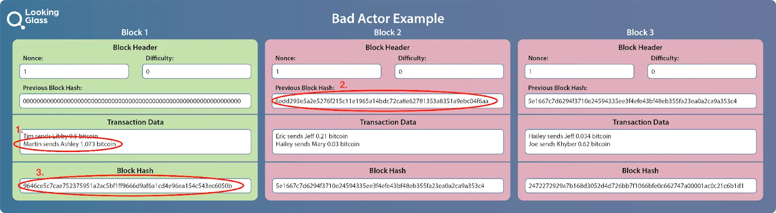 Bad Actor Example (figure from B is for Bitcoin)