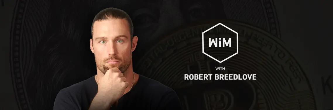 Robert Breedlove, What Is Money